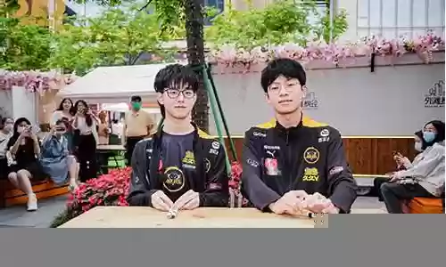 狼队辅助替补阵容搭配