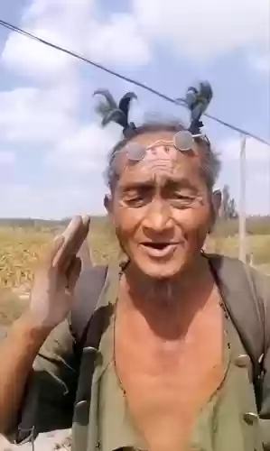 流浪下期阵容(流浪者怎么配队平民)插图4