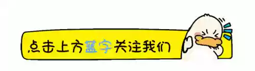 如此豪华阵容(云顶s10多才多艺玩什么阵容)插图