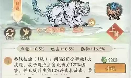 白虎如何搭配阵容图