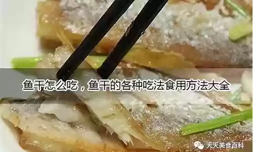 鱼干阵容搭配方法插图