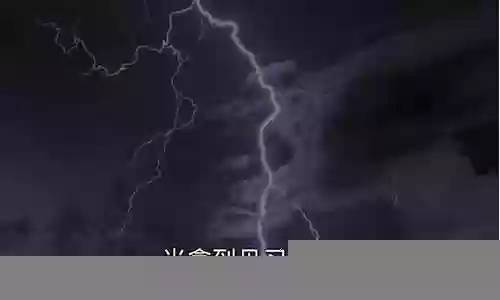 神龙英豪阵容怎么搭配好插图