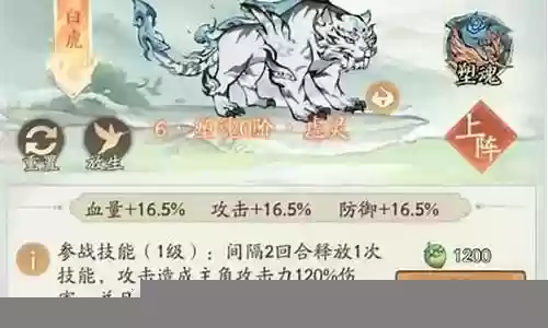 白虎防守阵容搭配攻略