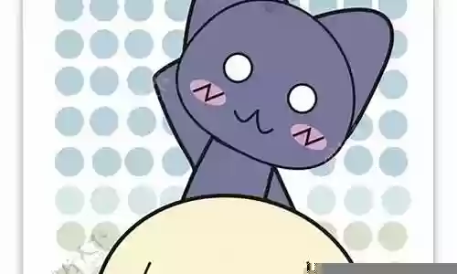 猫狗组合阵容搭配插图