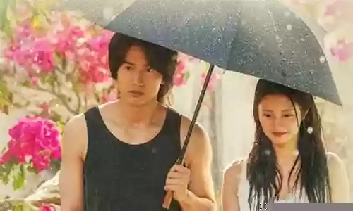 夏花演员阵容搭配图表插图