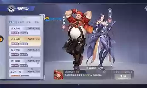 猫虎悬赏阵容搭配