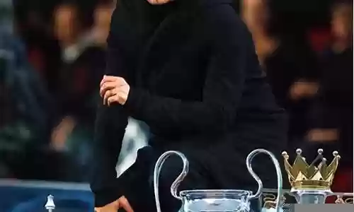 欧洲之巅阵容搭配