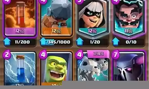 皇室雷龙搭配什么阵容