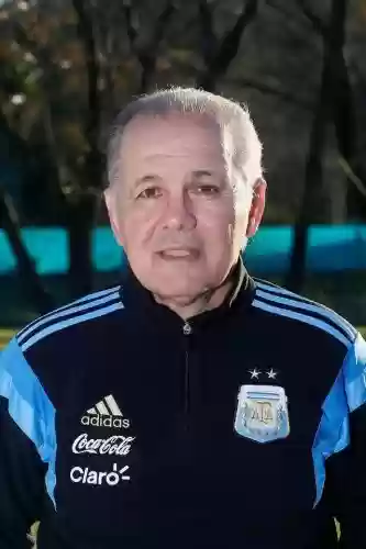 2014 法国 阵容(2018法国队阵型图)插图1