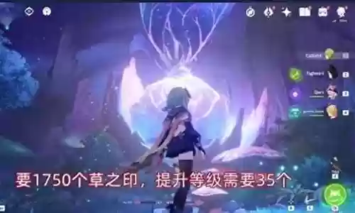 须弥探索阵容搭配图片大全插图