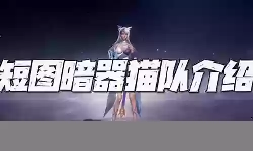 暗器队阵容搭配短图插图