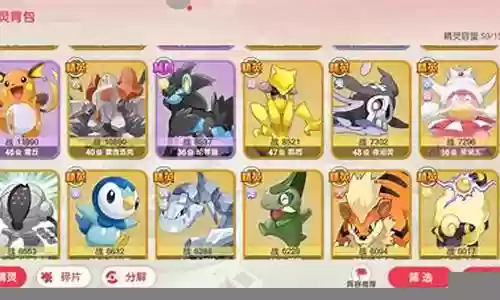 口袋觉醒鲨鱼阵容搭配技能插图