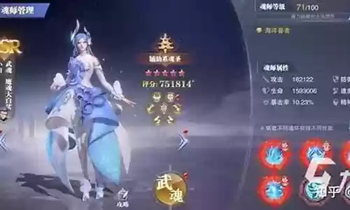 小白武魂搭配阵容图解大全插图