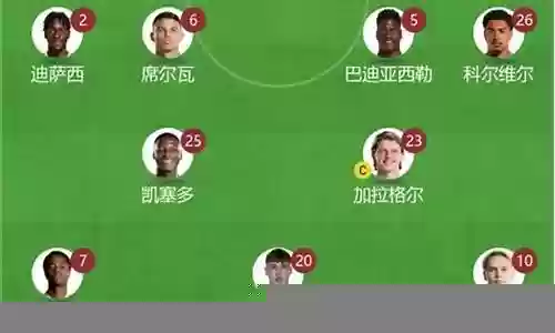 四中卫阵容插图