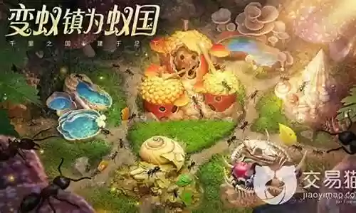 小小蚁国阵容搭配排行插图