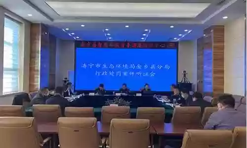 听证会阵容插图