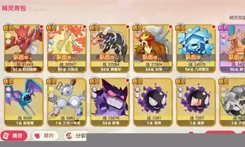 口袋白金阵容插图