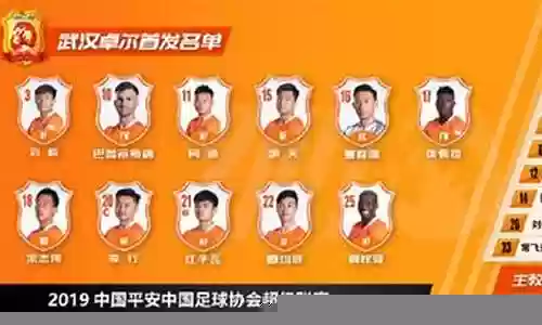 武汉卓尔的首发阵容插图