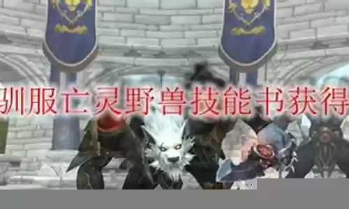 猎人技能书烟花插图
