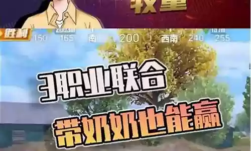和平精英哪边阵容赢插图