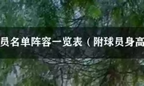 雄鹿队07阵容插图