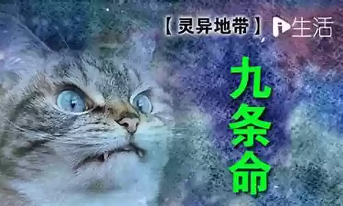 九条灵异记攻略插图