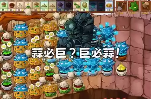 放大蒜阵容