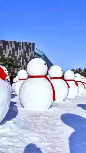 雪人配阵容