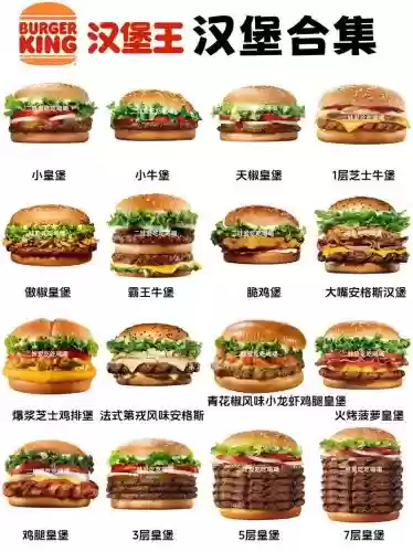 344阵容汉堡插图