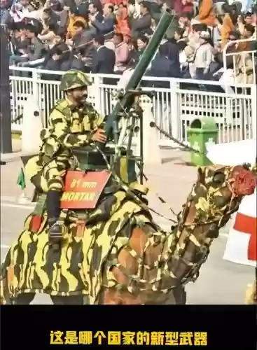 什么动物是攻击型武器