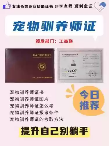 技能认证合宠