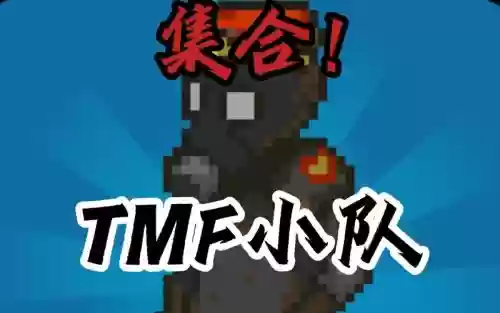 tmf小队阵容