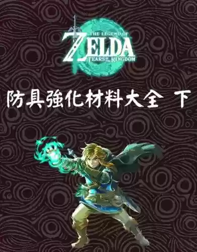 萨尔达装备老坏