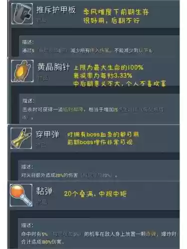 雨中冒险2装备满了