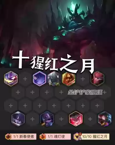 红迦阵容
