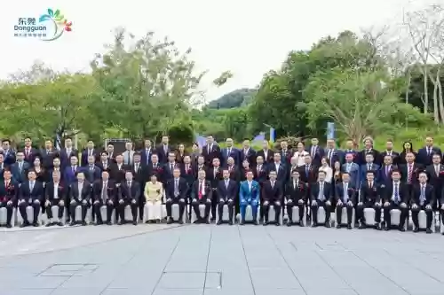 54亿阵容