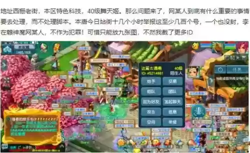 梦幻西游脚本问题插图