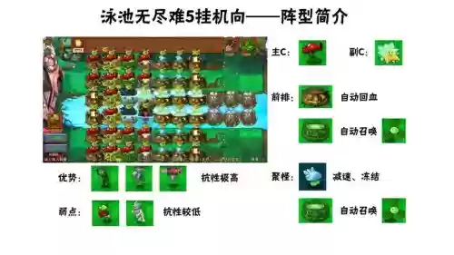 泳池机枪阵容