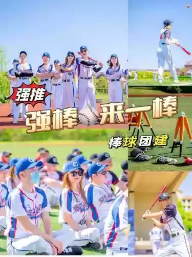棒球最强阵容插图