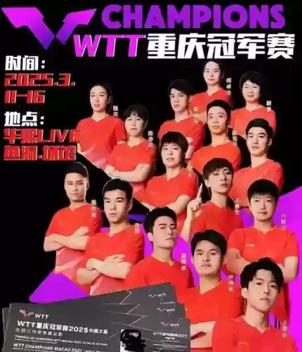 重庆pai阵容插图