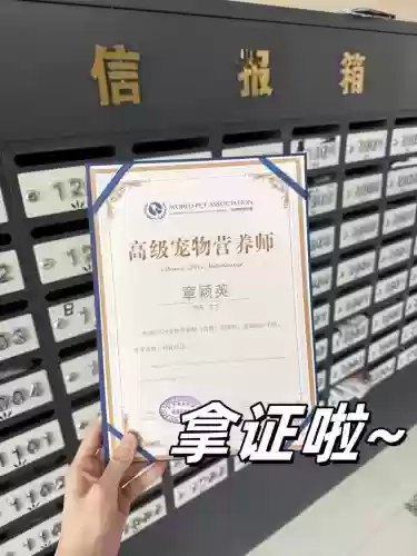 技能认证合宠插图