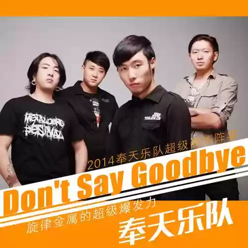 奉天乐队阵容