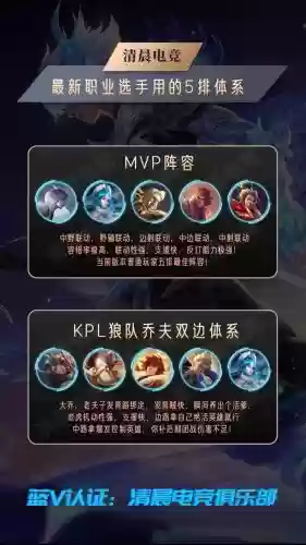 赵云职业阵容