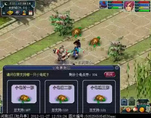 梦幻西游小龟赛跑怎么不跑插图