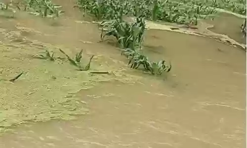暴雨神风攻略