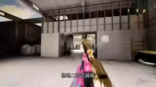 伽马武器箱出什么刀插图