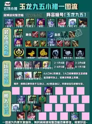 玉龙阵容猫