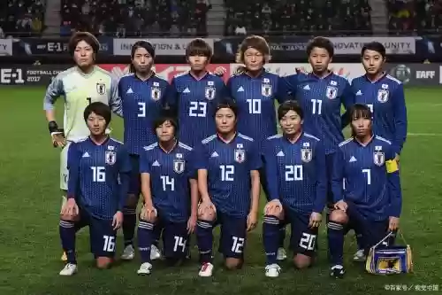 日本战队阵容