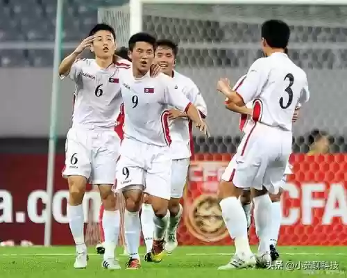 朝鲜国足阵容
