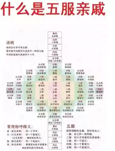 五五体系阵容